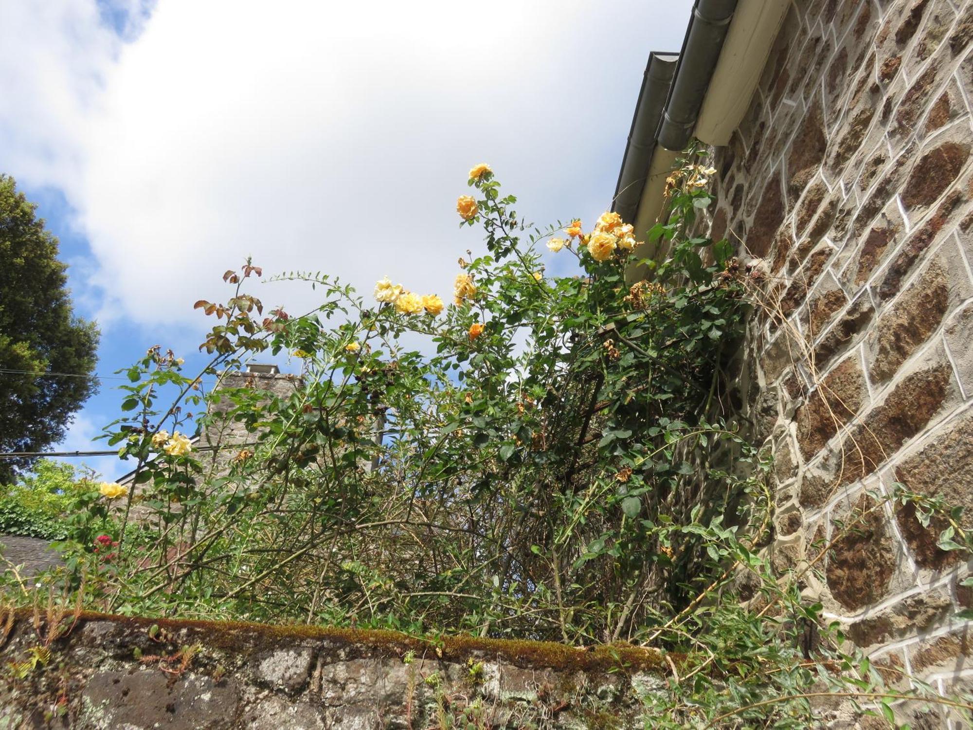 Le Jardin A Mordreuc Bed & Breakfast Pleudihen-sur-Rance Dış mekan fotoğraf